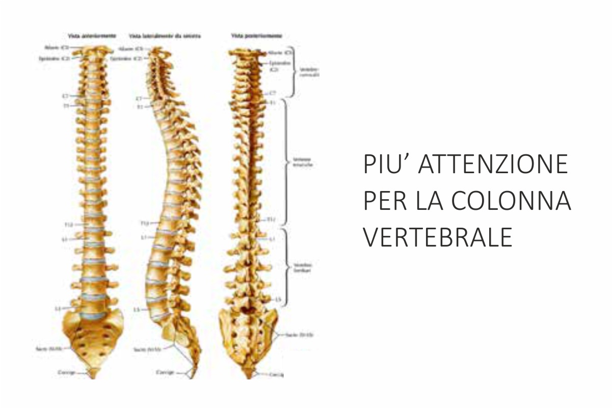 Therapy med - immagine 4